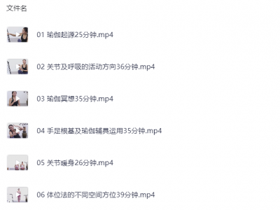 【瑜伽教学】1-100课的瑜伽从初级到高级（21G）
