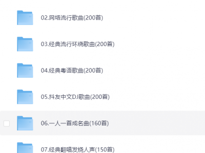 2024车载U盘，无损高音质Mp3格式（50G）
